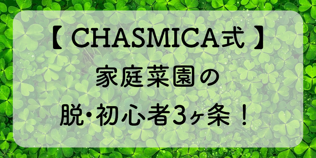 家庭菜園の脱・初心者3ヶ条